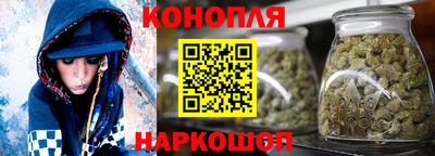 Альфа ПВП Малгобек