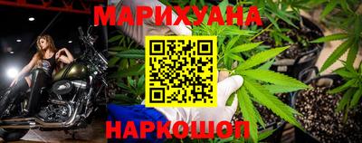 Альфа ПВП Малгобек