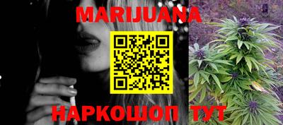 Альфа ПВП Малгобек